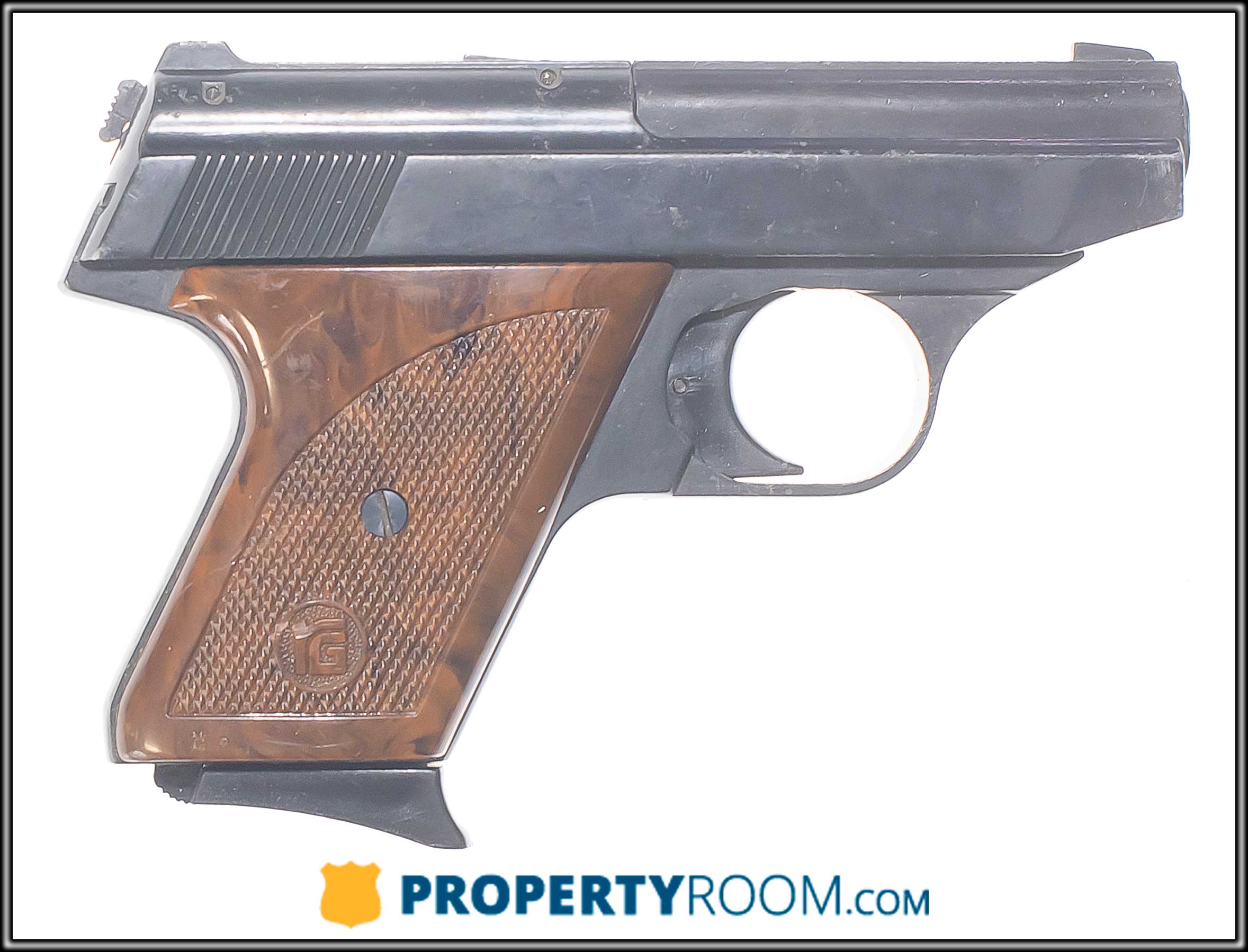 RG IND. RG 25 .25 ACP (Auction ID: 19077839, End Time : Jun. 24, 2024 ...